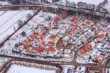 Aerial view of Night grazing in snow in Winden in the state Rhineland-Palatinate, Germany