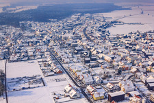 In the nest in winter with snow in Hatzenbühl in the state Rhineland-Palatinate, Germany