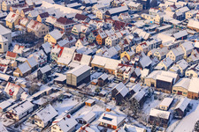 Tobacco scrubbing at Fledlachgraben in winter with snow in Hatzenbühl in the state Rhineland-Palatinate, Germany