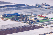 Zapf farm market in winter with snow in Kandel in the state Rhineland-Palatinate, Germany