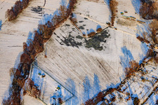 Klingbachauen in winter with snow in Steinweiler in the state Rhineland-Palatinate, Germany