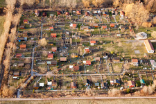 Allotment garden in the district Dammheim in Landau in der Pfalz in the state Rhineland-Palatinate, Germany