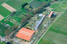 Hirtenbrunner Hof An der Ahlmühle in Ilbesheim bei Landau in the state Rhineland-Palatinate, Germany