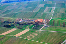 Horse boarding at Hirtenbrunner Hof on the Aalmühl in Ilbesheim bei Landau in the state Rhineland-Palatinate, Germany