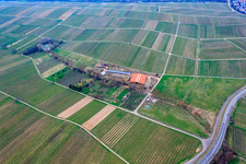 Aerial view of Horse boarding at Hirtenbrunner Hof on the Aalmühl in Ilbesheim bei Landau in the state Rhineland-Palatinate, Germany