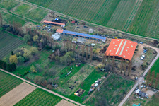 Aerial photograpy of Horse boarding at Hirtenbrunner Hof on the Aalmühl in Ilbesheim bei Landau in the state Rhineland-Palatinate, Germany
