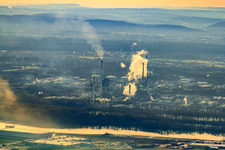 MIRO in the morning mist in the district Knielingen in Karlsruhe in the state Baden-Wuerttemberg, Germany