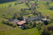 AG Animal Welfare Horses & Co. El Bandido in the district Wöschbach in Pfinztal in the state Baden-Wuerttemberg, Germany