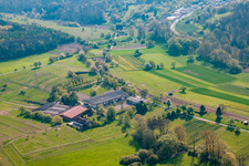 Oblique view of AG Animal Welfare Horses&Co in the district Wöschbach in Pfinztal in the state Baden-Wuerttemberg, Germany