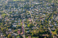 The district Turmberg with japanese cherry trees in pink flowers in the district Durlach in Karlsruhe in the state Baden-Wurttemberg