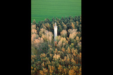 Radio tower and transmitter in a forest in Jueterbog in the state Brandenburg
