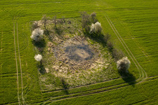 Pond in the field in the district Körbitz in Niederer Fläming in the state Brandenburg, Germany