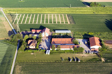Aerial view of Schossberghof in Minfeld in the state Rhineland-Palatinate, Germany