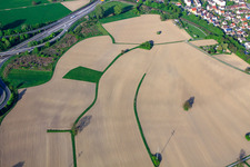 Corn fields - still without vegetation in the district Maximiliansau in Wörth am Rhein in the state Rhineland-Palatinate, Germany