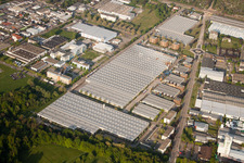 Oblique view of Daimler parts warehouse, Mercedes glass warehouse in Ettlingen in the state Baden-Wuerttemberg, Germany