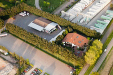 Gehrer Asparagus World in Durmersheim in the state Baden-Wuerttemberg, Germany