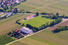 Oblique view of SV Impflingen sports field in Impflingen in the state Rhineland-Palatinate, Germany