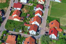 In the pea field in the district Mörzheim in Landau in der Pfalz in the state Rhineland-Palatinate, Germany from a drone
