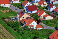 In the pea field in the district Mörzheim in Landau in der Pfalz in the state Rhineland-Palatinate, Germany from a drone