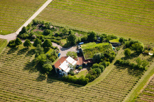 Bioland Winery Marzolph in the district Wollmesheim in Landau in der Pfalz in the state Rhineland-Palatinate, Germany