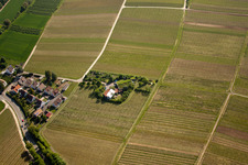 Aerial photograpy of Bioland Winery Marzolph in the district Wollmesheim in Landau in der Pfalz in the state Rhineland-Palatinate, Germany