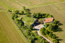 Bioland winegrowing under the grass roof Marzolph winery in the district Wollmesheim in Landau in der Pfalz in the state Rhineland-Palatinate, Germany