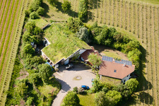 Bioland winegrowing under the grass roof Marzolph winery in the district Wollmesheim in Landau in der Pfalz in the state Rhineland-Palatinate, Germany from above