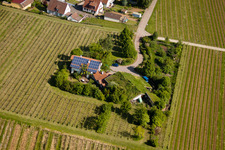 Bird's eye view of Bioland winegrowing under the grass roof Marzolph winery in the district Wollmesheim in Landau in der Pfalz in the state Rhineland-Palatinate, Germany