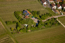 Bioland winegrowing under the grass roof Marzolph winery in the district Wollmesheim in Landau in der Pfalz in the state Rhineland-Palatinate, Germany viewn from the air