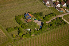 Drone recording of Bioland winegrowing under the grass roof Marzolph winery in the district Wollmesheim in Landau in der Pfalz in the state Rhineland-Palatinate, Germany