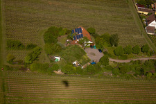 Drone image of Bioland winegrowing under the grass roof Marzolph winery in the district Wollmesheim in Landau in der Pfalz in the state Rhineland-Palatinate, Germany