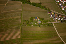 Bioland winegrowing under the grass roof Marzolph winery in the district Wollmesheim in Landau in der Pfalz in the state Rhineland-Palatinate, Germany from the drone perspective