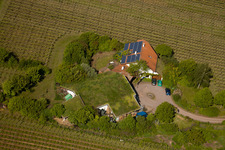 Bioland winegrowing under the grass roof Marzolph winery in the district Wollmesheim in Landau in der Pfalz in the state Rhineland-Palatinate, Germany seen from a drone