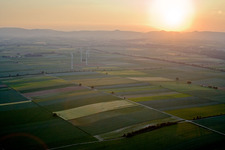 Wind turbine windmills on a field in Minfeld in the state Rhineland-Palatinate