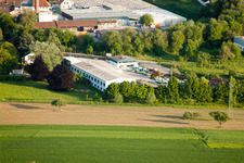 Spotted Fox in the district Hohenwettersbach in Karlsruhe in the state Baden-Wuerttemberg, Germany