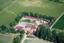 Aerial view of Leistenmühle in Erlenbach bei Kandel in the state Rhineland-Palatinate, Germany