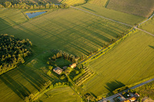 Grassy structures of a field landscape with long shadows of the cypress avenue of the old farm Az. Agr. San Luciano in Monte San Savino in the state Arezzo, Italy