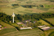 Kaiserhof Stud at the radio mast in the district Legelshurst in Willstätt in the state Baden-Wuerttemberg, Germany