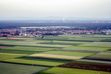 Oblique view of Town View of the streets and houses of the residential areas in Bellheim in the state Rhineland-Palatinate