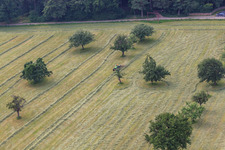 Mowing work at the Bierhelderhof in the district Rohrbach in Heidelberg in the state Baden-Wuerttemberg, Germany