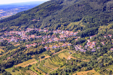 At Dieterswald in Dannenfels in the state Rhineland-Palatinate, Germany