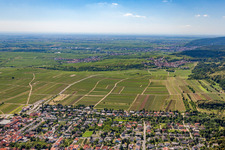 Weisenheim am Berg and Leistadt in the district Leistadt in Bad Dürkheim in the state Rhineland-Palatinate, Germany