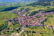 Agricultural fields and farmland in the district Leistadt in Bad Dürkheim in the state Rhineland-Palatinate, Germany