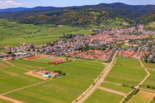 TuS 1883 Wachenheim eV in Wachenheim an der Weinstraße in the state Rhineland-Palatinate, Germany