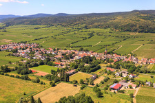 Wine-growing village on the Palatinate Wine Route between vineyards from the east in Forst an der Weinstraße in the state Rhineland-Palatinate, Germany