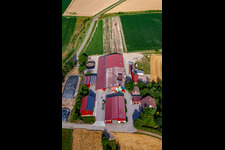 Oblique view of Hansjörg Körkel & Cornelia Will-Körkel Kirschhof in the district Bodersweier in Kehl in the state Baden-Wuerttemberg, Germany