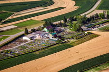Garden Times Black in the district Bodersweier in Kehl in the state Baden-Wuerttemberg, Germany from a drone