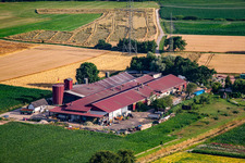 Hansjörg Körkel & Cornelia Will-Körkel Kirschhof in the district Bodersweier in Kehl in the state Baden-Wuerttemberg, Germany out of the air
