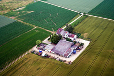 Aerial view of Wine and Sparkling Wine Estate Rosenhof in Steinweiler in the state Rhineland-Palatinate, Germany
