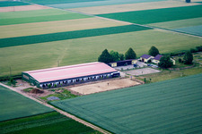 Equestrian center Fohlenhof in Steinweiler in the state Rhineland-Palatinate, Germany from the drone perspective